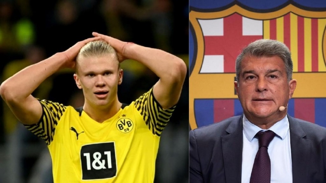 京港体育文化交流座谈会在北京举行，共话两地体育文化交流（京港体育文化交流座谈会在京召开，共商两地体育文化发展）